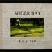 spiderbay_2001_book